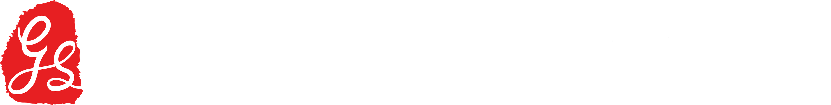 Glocal Storage